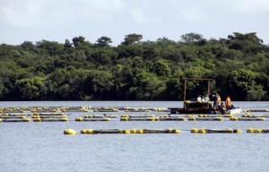 Bahia Pesca Investe Em Piscicultura E Aquicultura No Extremo Sul